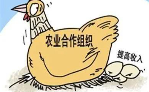 鄭州農(nóng)民專業(yè)合作社注冊(cè)條件及資料